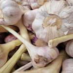 Kiedy dodawać czosnek do pieczeni: błąd w ułamku sekundy, który oddziela gorycz od słodyczy kiedy-dodawac-czosnek-do-pieczeni-blad-w-ulamku-sekundy-ktory.jpg